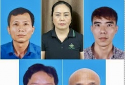 Hải Phòng: Khởi tố 9 đối tượng vận chuyển, mua bán hơn 130 tấn thịt lợn nhiễm dịch