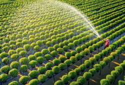 Từ cải tạo đất đến phòng trừ sâu bệnh: Hướng đi cho canh tác hiện đại cùng Natufarm