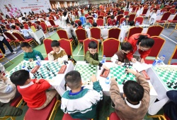 Nuôi dưỡng trí tuệ Việt từ những sân chơi ý nghĩa