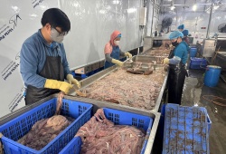 Thu giữ gần 60 tấn lòng lợn đổi màu, bốc mùi hôi thối ở Hà Nội