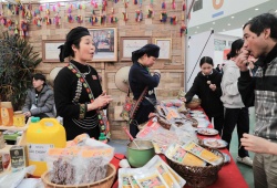 Hội chợ Mùa Xuân 2026 – Hành trình du xuân, mua sắm xuyên Việt