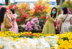 ROX Living Diễn Châu: Điểm hẹn lễ hội và không gian sống – kinh doanh mới của Bắc Nghệ An