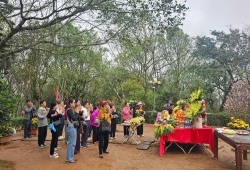 Xuân về trên đỉnh Am Tiên - Hành hương giữa đất trời linh khí