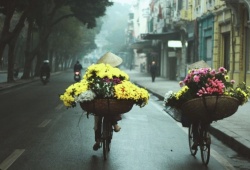 Thời tiết ngày 1/3: Miền Bắc sương mù, Nam Bộ mưa dông