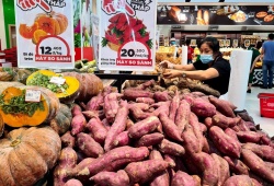 Người Nhật chi hơn 6.000 tỷ đồng mua rau quả Việt: Hoa cúc, chuối và khoai lang chiếm ưu thế