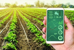 Mô hình đột phá và hành trình chuyển đổi số toàn diện của ngành nông nghiệp