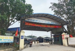 Vụ tiêu thụ 300 tấn lợn bệnh: Cục Chăn nuôi và Thú y sẽ lập đoàn kiểm tra các cơ sở giết mổ 