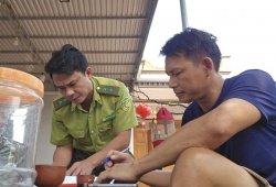 Thanh Hóa: Thu giữ 23 cây muội hồng không rõ nguồn gốc tại nhà dân