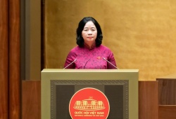 Cử tri và nhân dân vẫn lo ngại vệ sinh thực phẩm, ô nhiễm môi trường