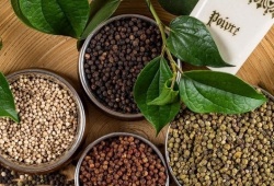 Thị trường nội địa ổn định, xuất khẩu tiêu sang Mỹ tăng vọt gần 61%