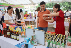 Hơn 300 gian hàng hội tụ tại Hội chợ Triển lãm sản phẩm công nghiệp nông thôn năm 2026