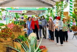 Lễ hội Trái cây Đồng Tháp thu hút 500.000 lượt khách, khẳng định vị thế 'Miền trái ngọt'