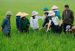 Từ 3,4 triệu hộ sản xuất giỏi, Hội Nông dân đặt mục tiêu hình thành 5.000 doanh nghiệp nông nghiệp
