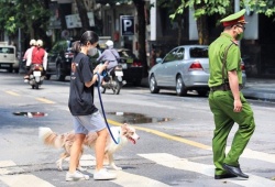 Từ 1/8, phạt tới 2 triệu đồng nếu dắt chó ra đường không rọ mõm