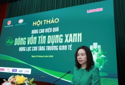 Khơi thông “dòng vốn xanh”, đòn bẩy đưa doanh nghiệp tiến tới Net Zero 2050