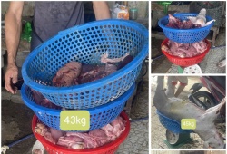 Thanh Hóa khởi tố 3 đối tượng mua bán, giết mổ lợn dịch bán ra thị trường