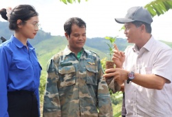 Quảng Ngãi: Tạo “sinh kế” cho đồng bào Xơ Đăng với 1 triệu cây giống cà phê