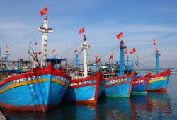 Phạt tối đa 2 tỷ đồng với hành vi vi phạm hành chính lĩnh vực thủy sản