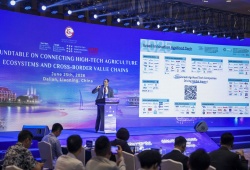 'Sức mạnh mềm' từ không gian văn hóa trà của hệ sinh thái thương hiệu DoiDep bên lề Hội nghị Kinh tế toàn cầu
