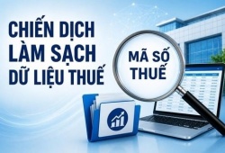 Cục thuế phát động chiến dịch làm sạch mã số thuế trên toàn quốc