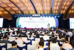 Chuyển dịch năng lượng công bằng: Việt Nam hướng tới mục tiêu Net Zero