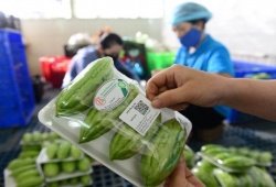 Bộ Công Thương tạm ngưng hiệu lực quy định truy xuất nguồn gốc thực phẩm đến hết 30/9
