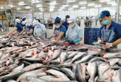Xuất khẩu thủy sản khởi sắc, hướng tới mục tiêu 12 tỷ USD