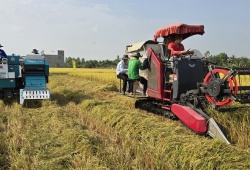 Thúc đẩy lúa gạo phát thải thấp, chìa khóa nâng tầm giá trị hạt gạo Việt