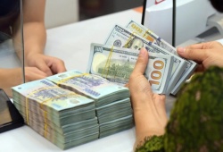 Vi phạm đăng ký doanh nghiệp có thể bị phạt đến 100 triệu đồng