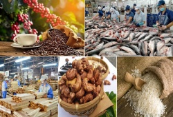 Xuất khẩu nông, lâm, thủy sản tăng trưởng ấn tượng, đạt gần 42,8 tỷ USD