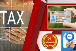 Mã số thuế vẫn “sống” sau khi doanh nghiệp đóng cửa: Cần làm gì để tránh rủi ro?