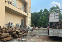 Vụ vận chuyển hơn 18m³ gỗ từ Thanh Hóa ra Hưng Yên: Xác định thuộc nhóm IA