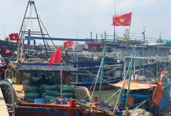 Nghệ An thực hiện nghiêm túc các khuyến nghị về chống khai thác IUU