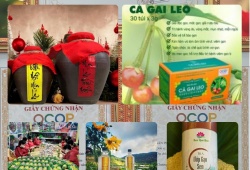 Xây dựng thương hiệu, mở rộng thị trường và gia tăng giá trị sản phẩm OCOP