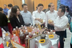 Nghệ An cho ý kiến về tiêu chí nông thôn mới và phát triển sản phẩm OCOP
