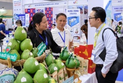 HCMC Export 2026: Đòn bẩy đưa hàng Việt vươn ra thị trường quốc tế
