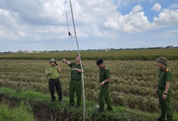 Ninh Bình: Xử lý nghiêm các hành vi săn bắt, kinh doanh chim di cư, hoang dã