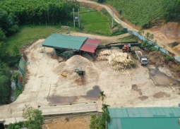 Hóa Quỳ (Thanh Hóa): Cơ sở chế biến gỗ bị đình chỉ vẫn ngang nhiên hoạt động 