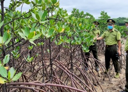 Quảng Ninh xây dựng chính sách đặc thù về lĩnh vực nông nghiệp