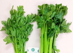 Rau cần tây ăn 2 lần/tuần giúp dưỡng gan, thải độc tốt