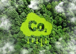 Cuối năm 2025, dự kiến vận hành thử nghiệm sàn giao dịch carbon
