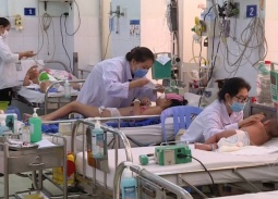 Dịch sốt xuất huyết tại TP.HCM tăng mạnh, ngành y tế chủ động ứng phó