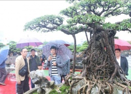 Hơn 5.000 tác phẩm sinh vật cảnh khoe sắc tại Festival Đất Tổ – Phú Thọ 2025