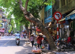 Dự báo thời tiết ngày 14/11: Bắc Bộ nắng hanh, Nam Bộ có mưa vài nơi