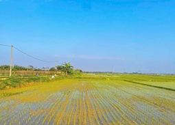 HTX Dịch vụ sản xuất và Kinh doanh tổng hợp Hòa Tiến 1: “Bà đỡ” phát triển kinh tế hộ thành viên