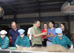 Hợp tác xã Miến Việt Cường: Mô hình HTX điển hình thúc đẩy kinh tế từ sản phẩm truyền thống ở Thái Nguyên