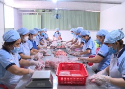 HTX Kỳ Như: Khẳng định vai trò kinh tế tập thể trong thời kỳ mới ở Cần Thơ