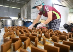 Người miền Tây xứ Nghệ và hành trình giữ nghề truyền thống trồng mía 