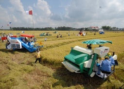 5 trụ cột chiến lược phát triển bền vững vùng Đồng bằng sông Cửu Long