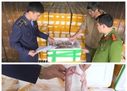 Thu giữ hơn 10 tấn cá khoai chứa chất Formol nguy hại đến sức khỏe người tiêu dùng